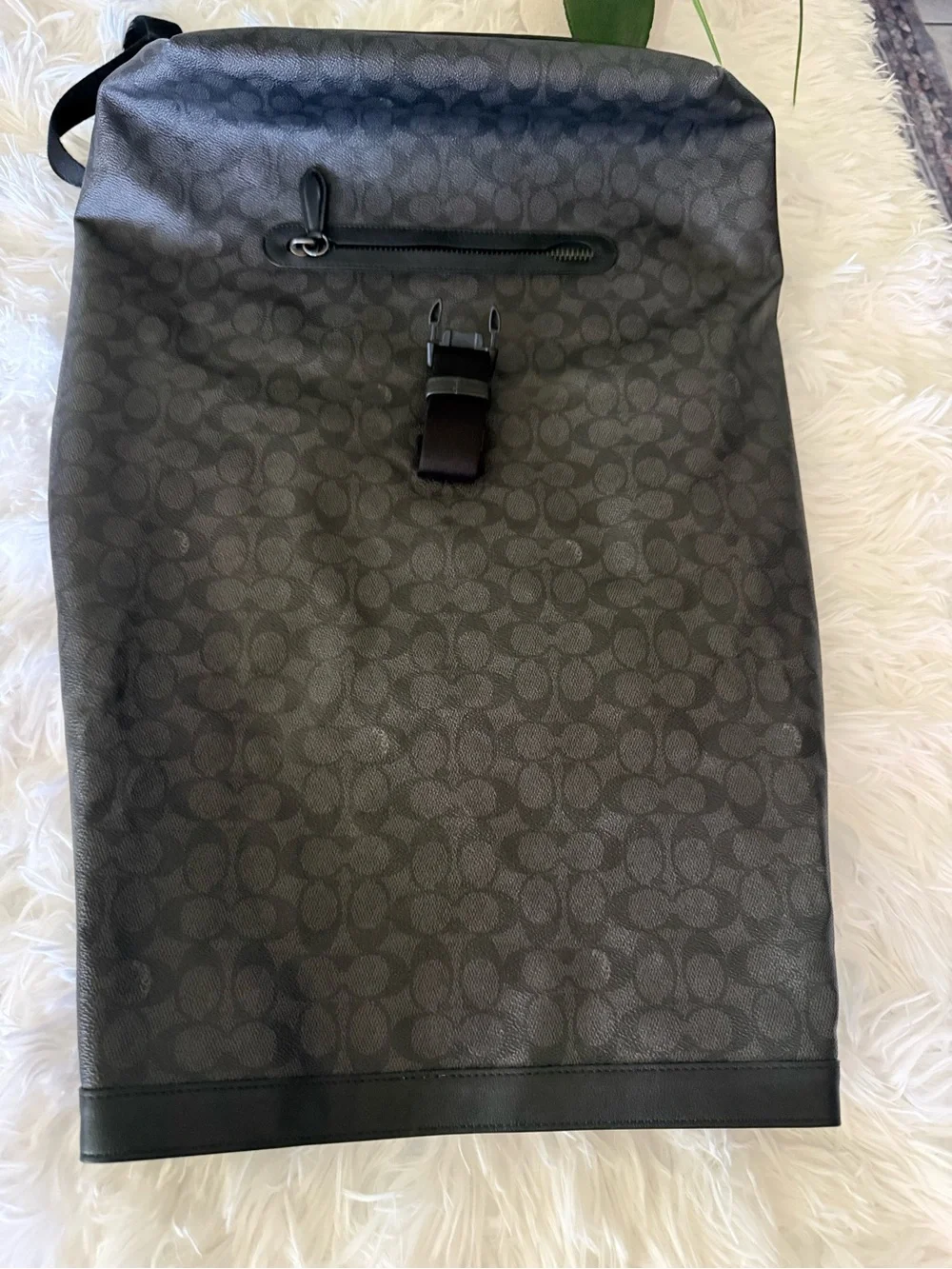 Coach stylish roll